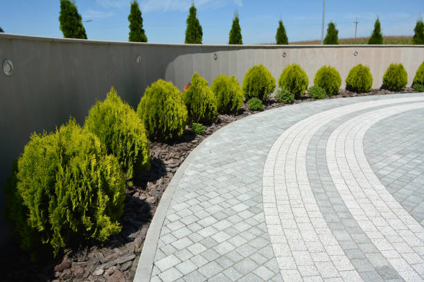 Best Driveway Paving Contractor  in Brookneal, VA